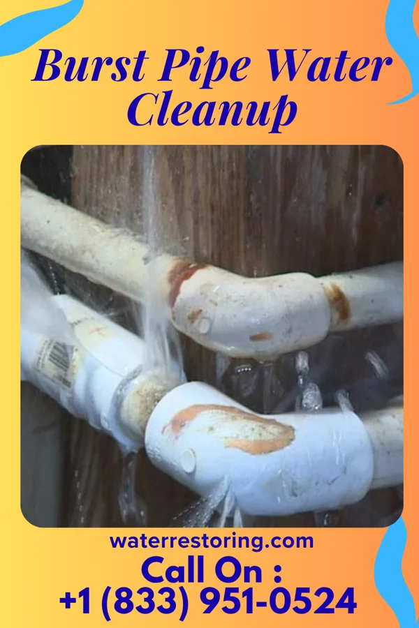 Burst Pipe Water Cleanup in Stafford, OH
