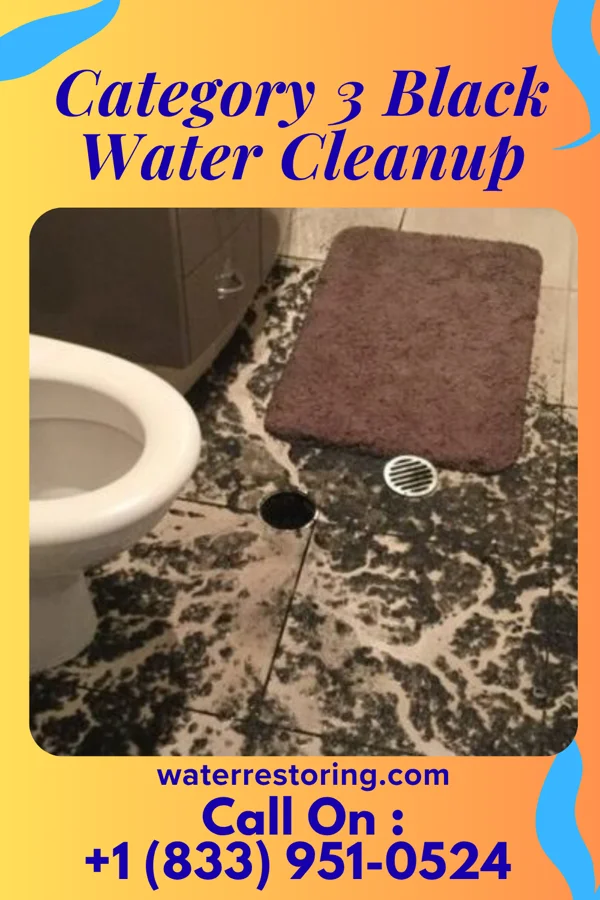Category 3 Black Water Cleanup in Stafford, OH
