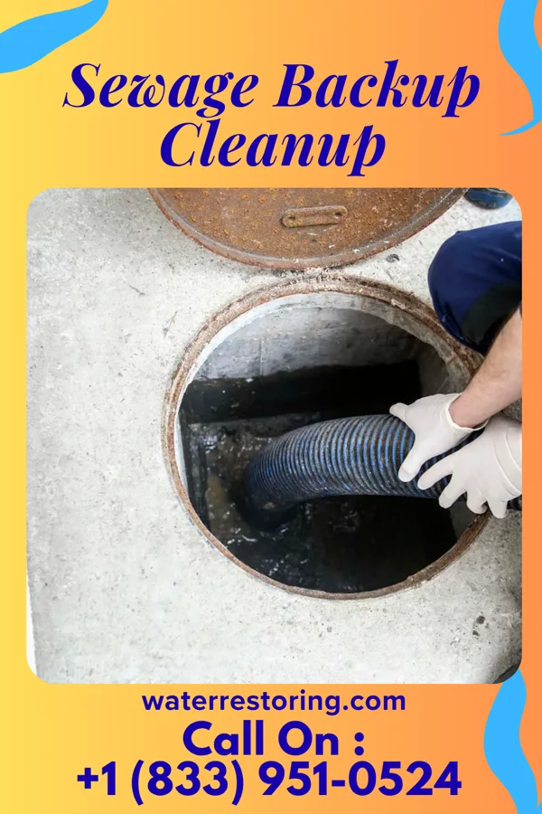Sewage Backup Cleanup in Stafford, OH